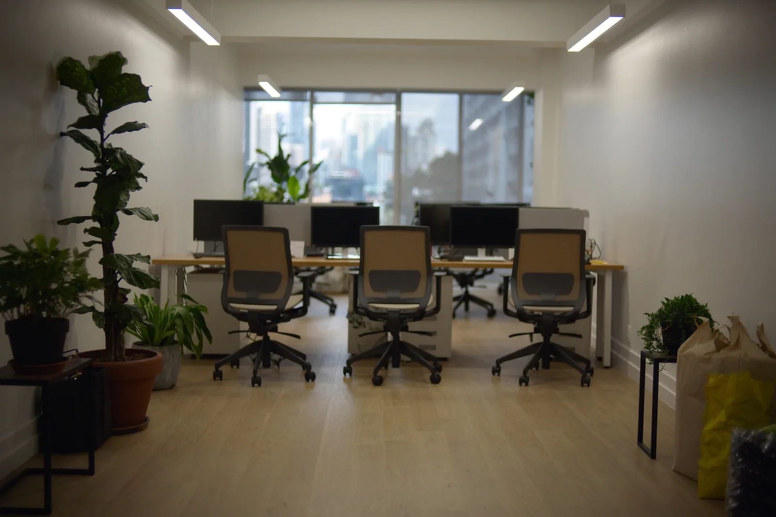 An open-plan Brisbane office with empty chairs, monitors off and the city soft through the windows